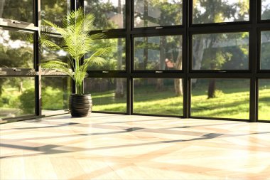Minimalist interior with a decorative plant and sun reflections through the windows. Design and interior decoration. 3d rendering.