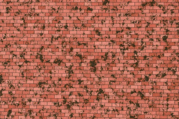 Indian red brick wall with mold. Textured backgrounds. 3d rendering.