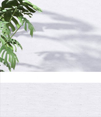 Minimalist, modern, beyaz beton tezgah masası, güneş ışığında tropikal ağaç, beton dokunun arka planında yansıyan gölge yansımaları lüks organik, cilt bakımı ürünleri ve vücut bakımı. 3d hazırlayıcı.