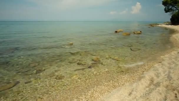 ギリシャクリオピギ 2022年8月31日 ギリシャのチャルキディキのクリオピギビーチの透明な水 — ストック動画