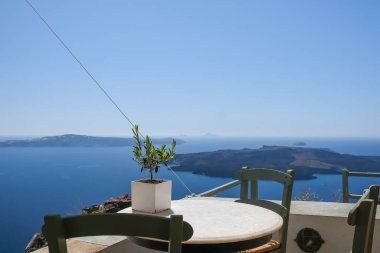 Vazodaki küçük bir zeytin ağacının manzarası ve arka plandaki ünlü Fira Santorini köyü.