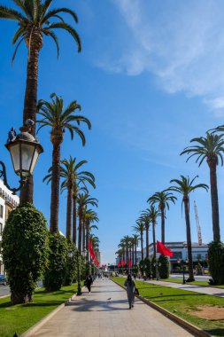 Rabat, Kazablanka - 1 Mart 2020: Güneşli bir günde Rabat Fas 'ta palmiye ağaçları ve güzel sokak lambaları olan bir yaya sokağı manzarası
