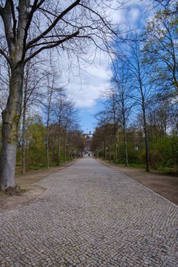 Berlin 'deki Alman Parlamentosu' na giden bir orman ve yaya geçidi görünüyor. 