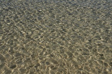 Yunanistan 'da berrak suları olan güzel kumlu bir sahile yakın.