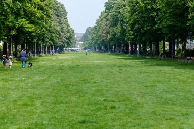 Bonn, Almanya - 22 Mayıs 2023: Bonn Almanya 'daki Poppelsdorfer Allee Parkı' nın panoramik manzarası