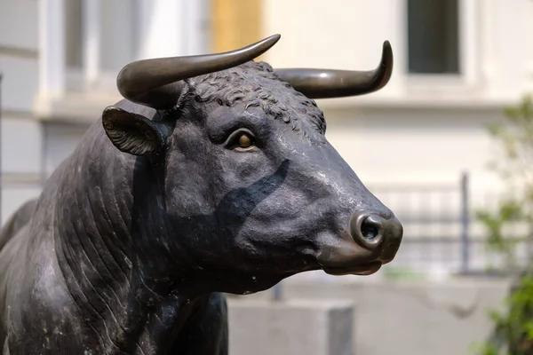 Bonn Tyskland Maj 2023 Utsikt Över Naturlig Storlek Bull Skulptur — Stockfoto