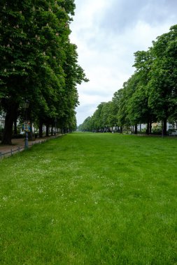 Bonn, Almanya - 22 Mayıs 2023: Bonn Almanya 'daki Poppelsdorfer Allee Parkı' nın panoramik manzarası