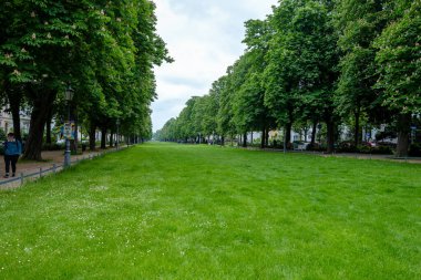 Bonn, Almanya - 22 Mayıs 2023: Bonn Almanya 'daki Poppelsdorfer Allee Parkı' nın panoramik manzarası