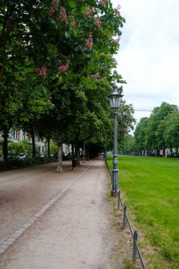 Bonn, Almanya - 22 Mayıs 2023: Bonn Almanya 'daki Poppelsdorfer Allee Parkı' nın panoramik manzarası