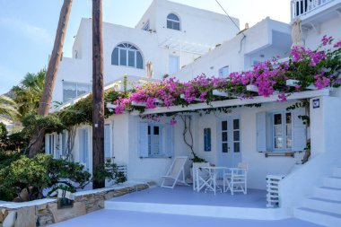 Ios, Yunanistan - 8 Eylül 2023: Tipik Kiklad mimarisine sahip, ünlü Mylopotas plajında oda kiralayan beyaz boyalı bir otel