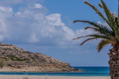 Magganari 'nin muhteşem plajı ve Yunanistan' da bir palmiye ağacı manzarası