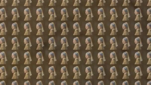 Flicka Med Pärla Örhänge Johannes Vermeer Oändlig Zoom Animation — Stockvideo