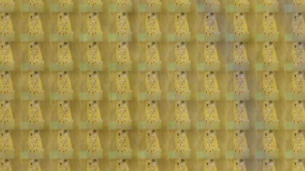 Kiss Gustav Klimt Oändlig Zoomanimation — Stockvideo