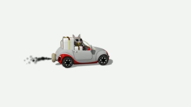 Grappige Kat Geschenken Een Bewegende Auto Witte Achtergrond Render — Stockvideo