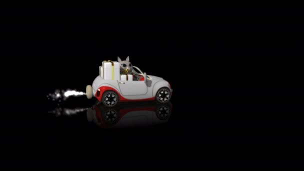 面白い猫と移動車の贈り物 アルファチャンネル 3Dレンダリング — ストック動画