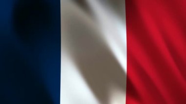 Fransa Bayrağı, 3D Hazırlama