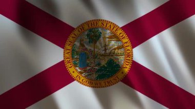 Florida Eyalet Bayrağı, 3D Yapılandırma