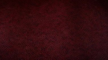 Koyu Kırmızı Deri, Arka plan, Dalgalar, Özel, Döngülü