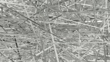 Dönen Gümüş Çubuklar, Eşsiz Tasarım, Özel Arkaplan