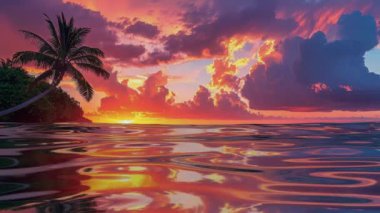 Tropikal Cennet, Arkaplan, Güzel Manzara, Okyanus Dalgaları, Özel