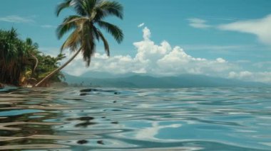 Tropikal Cennet, Güzel Manzara, Okyanus Dalgaları, Arkaplan, Özel