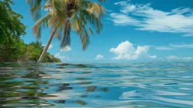 Tropikal Cennet, Arkaplan, Okyanus Dalgaları, Güzel Manzara, Özel