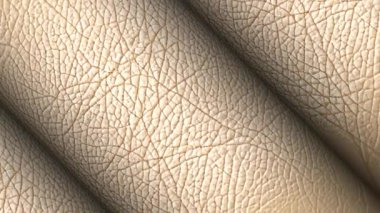 Beyaz Deri Rolls, Zarif Arkaplan, Özel Tasarım, Eşsiz Tasarım, Döndürme