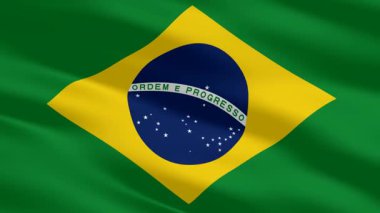 The waving flag of Brazil flows with vivid color, highlighted by a premium background of exclusive elegant design