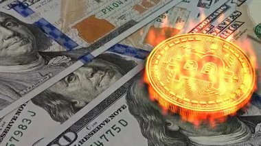 Özel altın bitcoin, canlı alevler ve premium dolar banknotlar, modern finans, iş, kripto para ve başarılı yatırım konseptiyle kaplanmış.