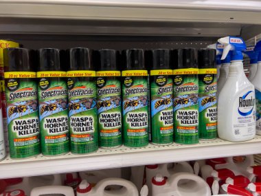 Seattle, WA USA - circa September 2022: Close up view of wasp and hornet killer spray for sale inside a Target store. clipart