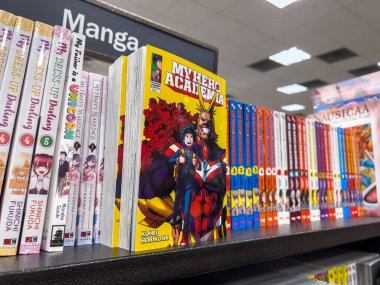 Woodinville, WA USA - Kasım 2022: Bir Barnes ve Noble mağazasında satılık Kahraman Akademi mangam üzerine seçici bir odaklanma.