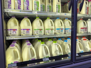 Mill Creek, WA USA - circa November 2022: Wide view of refrigerated milk for sale inside a Town and Country Market. clipart