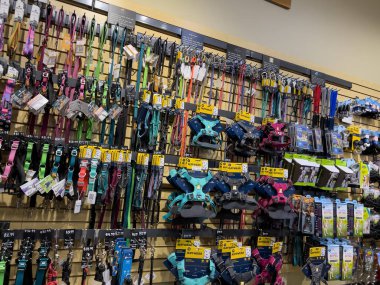 Mill Creek, WA USA - circa December 2022: Wide view of a variety of collars and harnesses for sale inside a Mudbay pet shop.