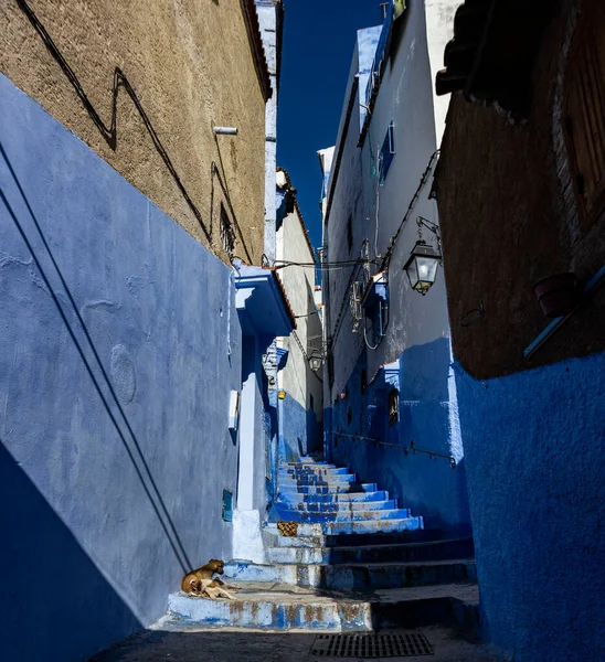 Chodník Mezi Budovami Namalovanými Modře Zvýrazněný Sluncem Stíny — Stock fotografie