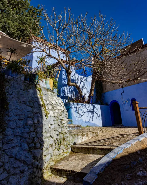 Edificio Ladrillo Azul Histórico Contra Paisaje Verde Cielo Claro Del — Foto de Stock