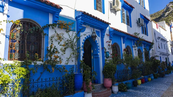 Edificio Decorativo Con Macetas Flores Flores Ciudad Azul Con Puertas — Foto de Stock