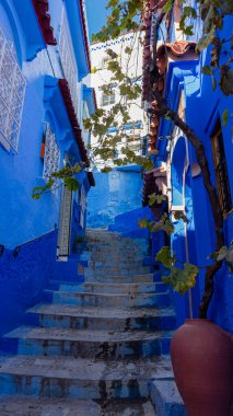 Şefin canlı Medine 'sinin barışçıl titreşimlerini kucaklayın, mavi bir sükunet tuvali.