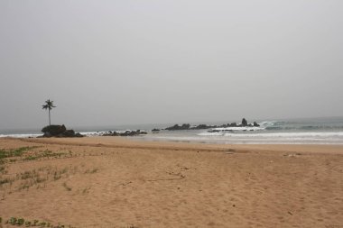 Geniş ve sessiz bir sahil, ufukta uzanan altın kumlar. Küçük kaya oluşumları ve tek bir palmiye ağacı manzarayı noktalar, sakin ve el değmemiş bir atmosfer yaratır..