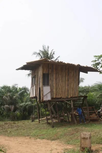 stock image An elevated bamboo hut on stilts, situated in a lush, green environment. This traditional structure provides an eco-friendly living space elevated above the ground, offering a unique and rustic accommodation experience.