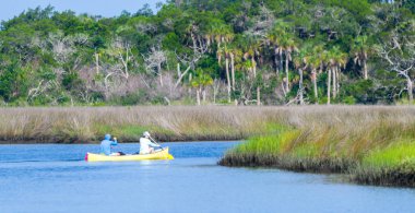 man and woman canoeing in salt marsh water habitat with blue water, palm trees in background and cord needle and saw grass along the edges of the waterway.  Florida, United States - July 22, 2023 clipart