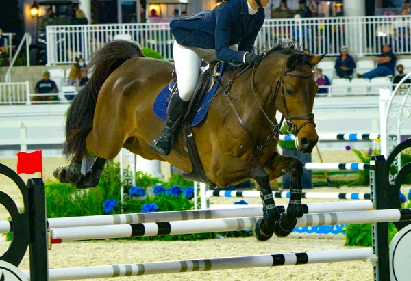 馬スポーツ 馬ジャンプショー ジャンプ競技馬乗馬 イベント中にハードルの上にジャンプしながら 女性乗馬栗茶色馬の写真ビュー — ストック写真