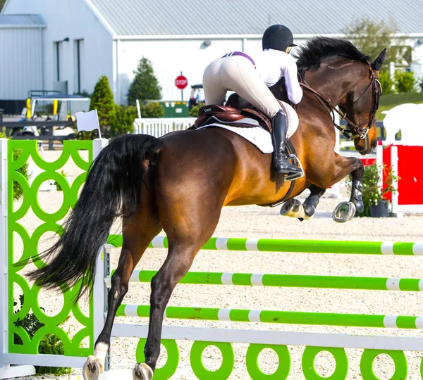 Ocala Ιππασίας Horse Jumping Show Jumping Competition Horse Riding View — Φωτογραφία Αρχείου