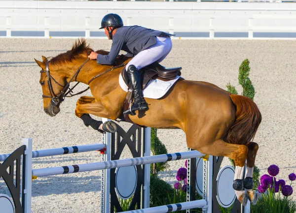 Οκάλα Φλόριντα Ιππασίας Horse Jumping Show Free Event Competition Ιππασίας — Φωτογραφία Αρχείου