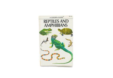 Ocala, FL Reptiles and Amphibians, guide to American species, 212 full color, Golden nature guide featuring collard lizard, coral snake, salamander, box turtle and bullfrog on front cover. Year 1953 clipart