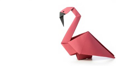 Pembe bir Amerikan flamingosunun beyaz arka planında izole edilmiş hayvan konsepti olan Phoenicopterus ruber çocuklar için basit bir başlangıç aracı.