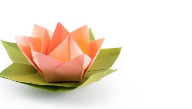 Nilüfer çiçeğinin beyaz zemininde farklı renklerde izole edilmiş bir hayvan su kavramı, kopyalama alanı ile, çocuklar için basit başlangıç sanatı