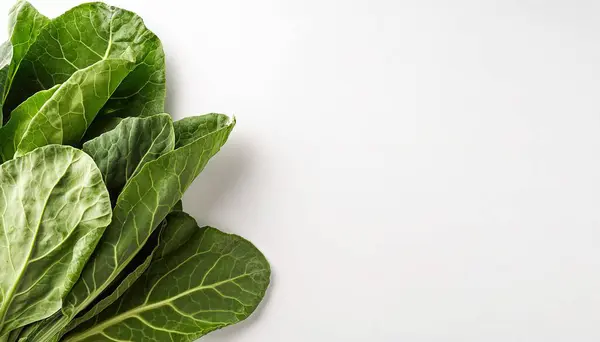 Stock image Collard greens - Brassica oleracea - grown as a food crop for their large, dark green, edible leaves, which are cooked and eaten as vegetables. Isolated on white background with copy space. raw plant