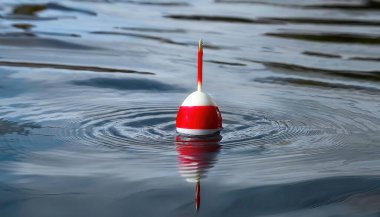 red and white round fishing bobber with water movement and ripples which means a fish is biting.  lightweight buoy used in angling, usually attached to a float fishing line. visual bite indicator clipart