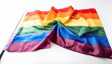 Gay gökkuşağı gurur bayrağı, LGBTQ gururunun ve LGBTQ sosyal hareketlerinin bir sembolüdür. Renkler LGBTQ topluluğunun çeşitliliğini, insan cinselliği ve cinsiyetinin spektrumunu yansıtıyor. Beyazda izole edilmiş