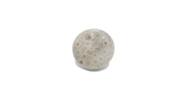 polished Petoskey stone is a rock and fossil, composed of a fossilized rugose coral, Hexagonaria percarinata, formed as a result of glaciation, state stone of Michigan Isolated on white background clipart